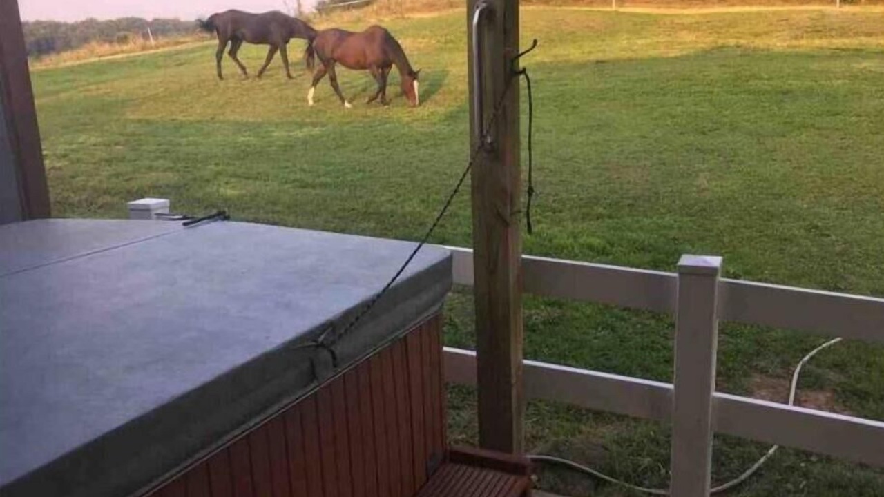 Photo of Outdoor in Hixton