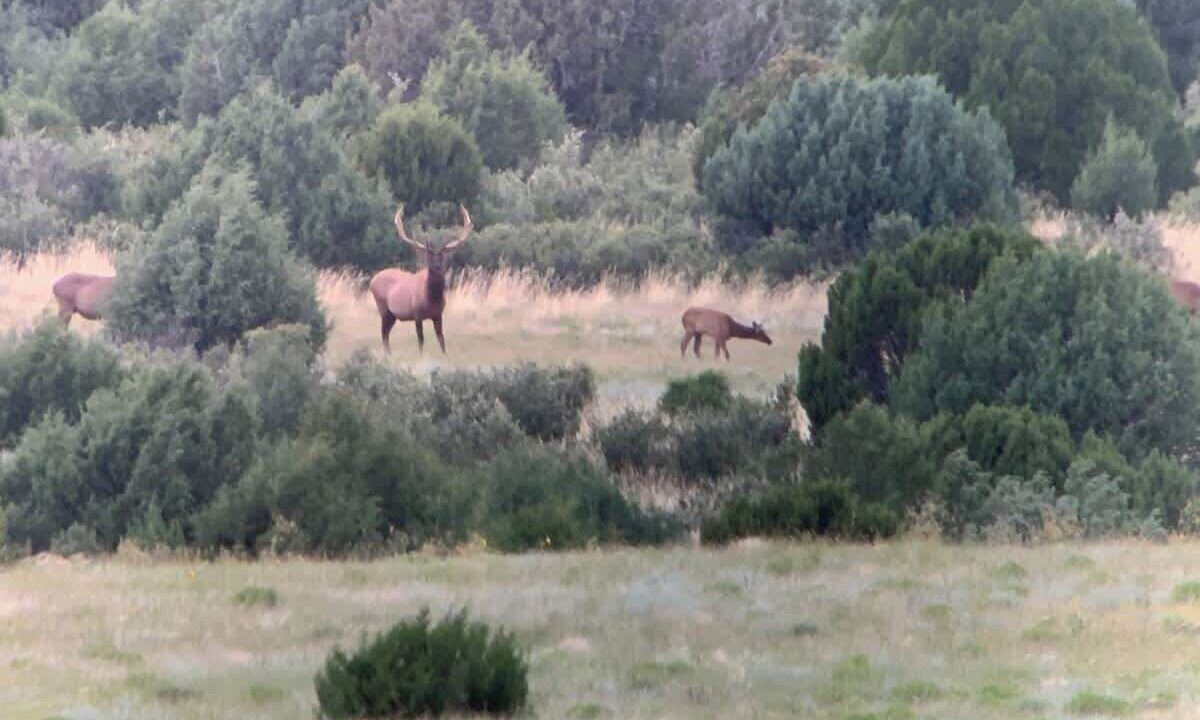 Photo of Others in Folsom
