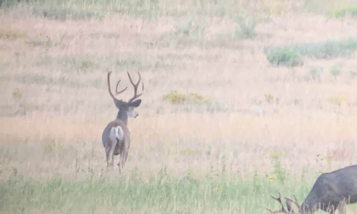 Photo of Others in Folsom