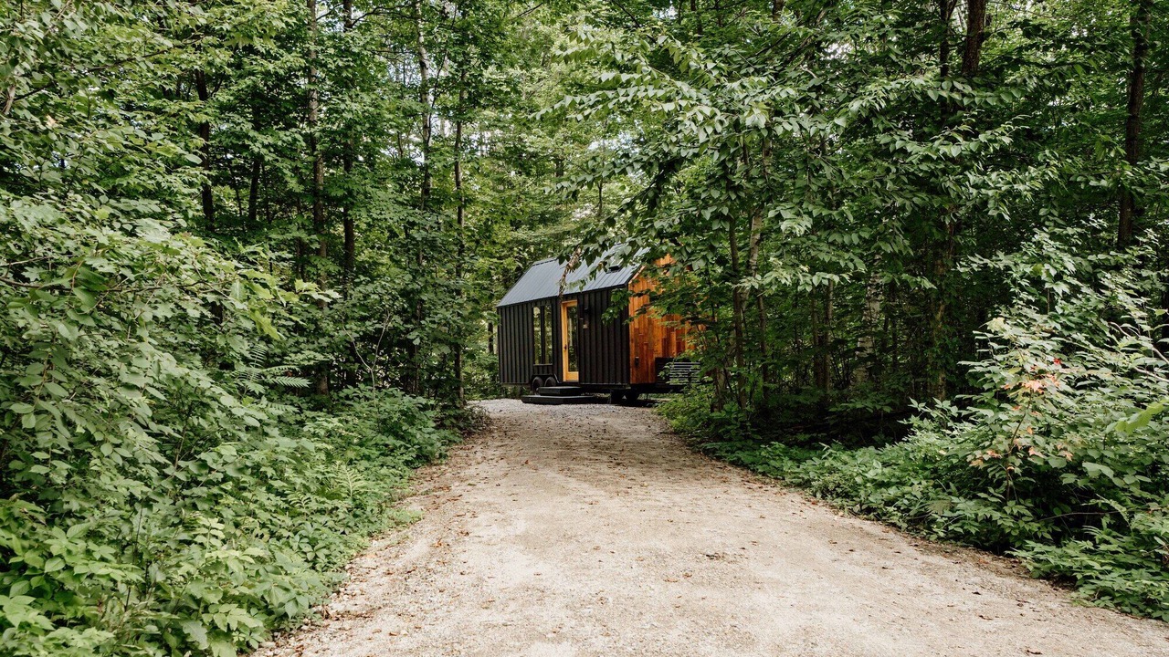 Photo of Others in North Woodstock