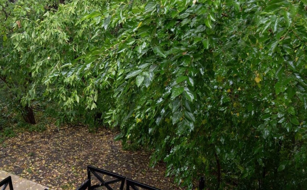 Photo of Outdoor in Hopkins