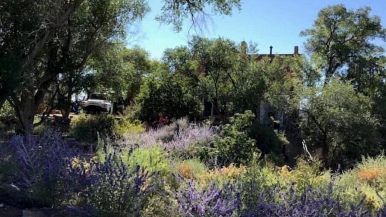Photo of Outdoor in Cerrillos