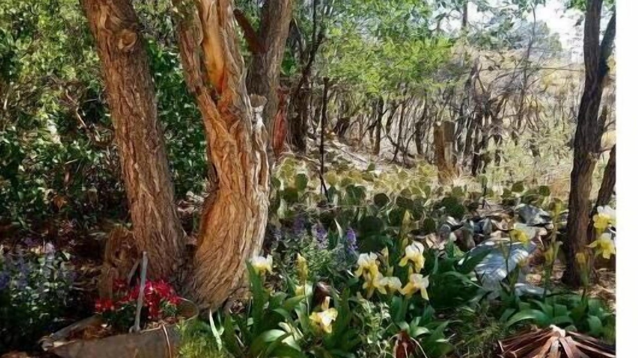 Photo of Others in Cerrillos