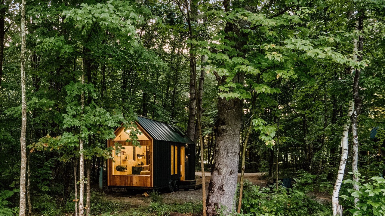 Photo of Others in Woodstock