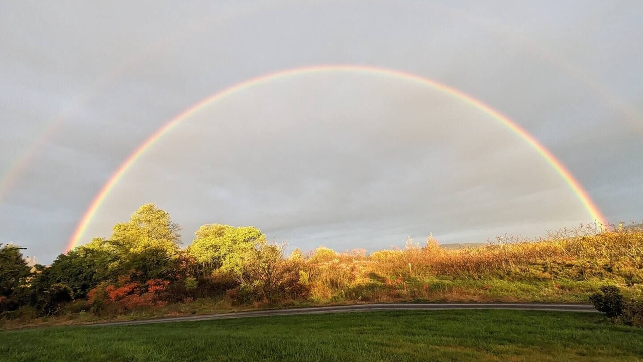Photo of Others in Schuylerville