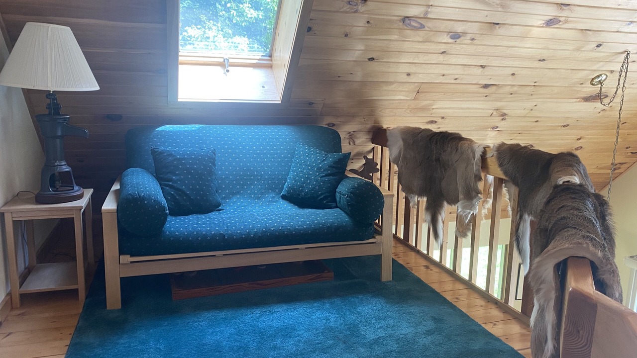 Photo of Livingroom in Jamaica