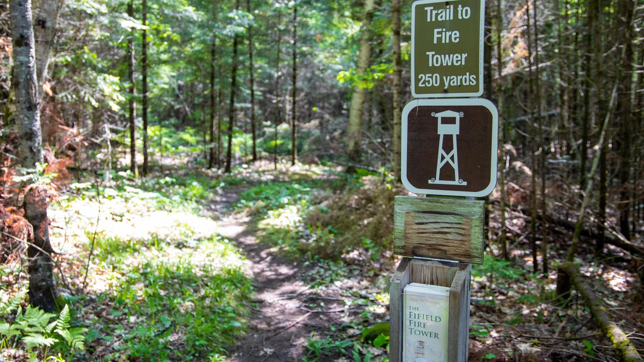 Photo of Outdoor in Park Falls