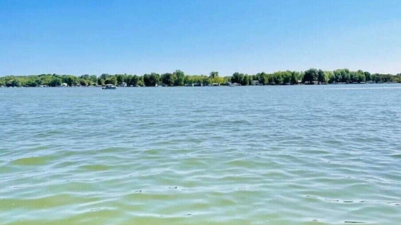 Photo of Others in Lake Odessa
