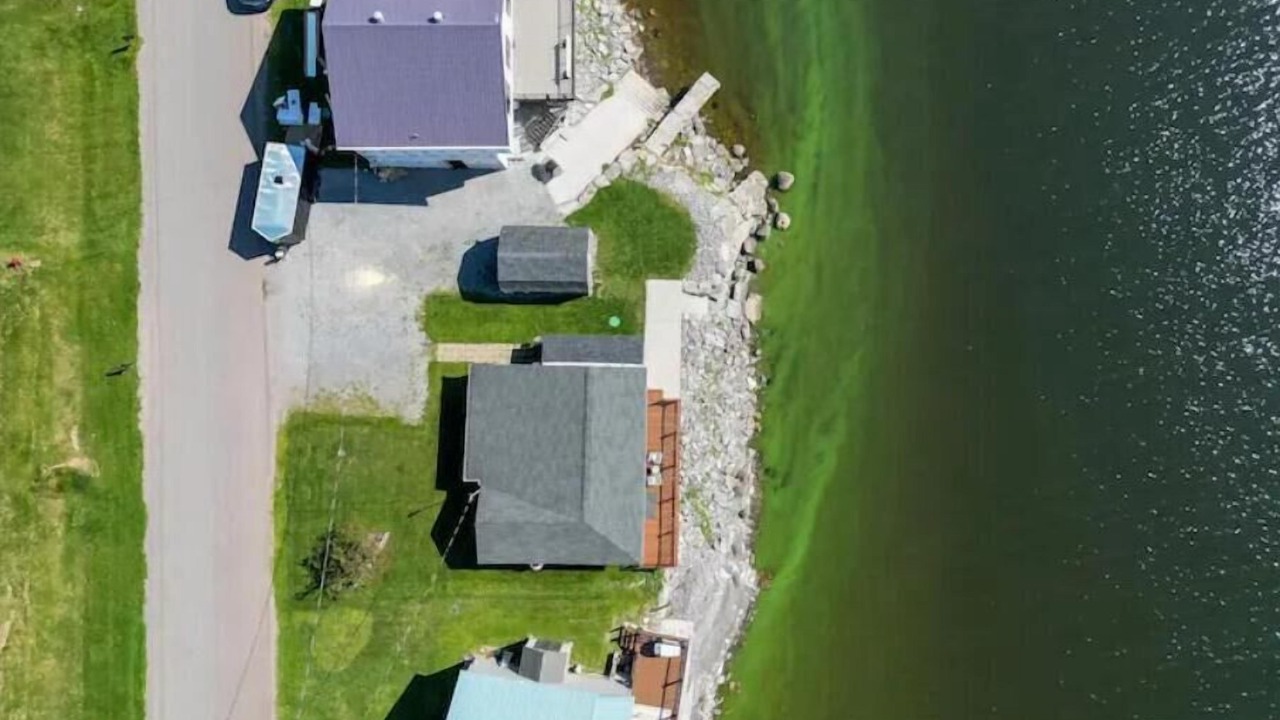 Photo of Outdoor in Pillar Point