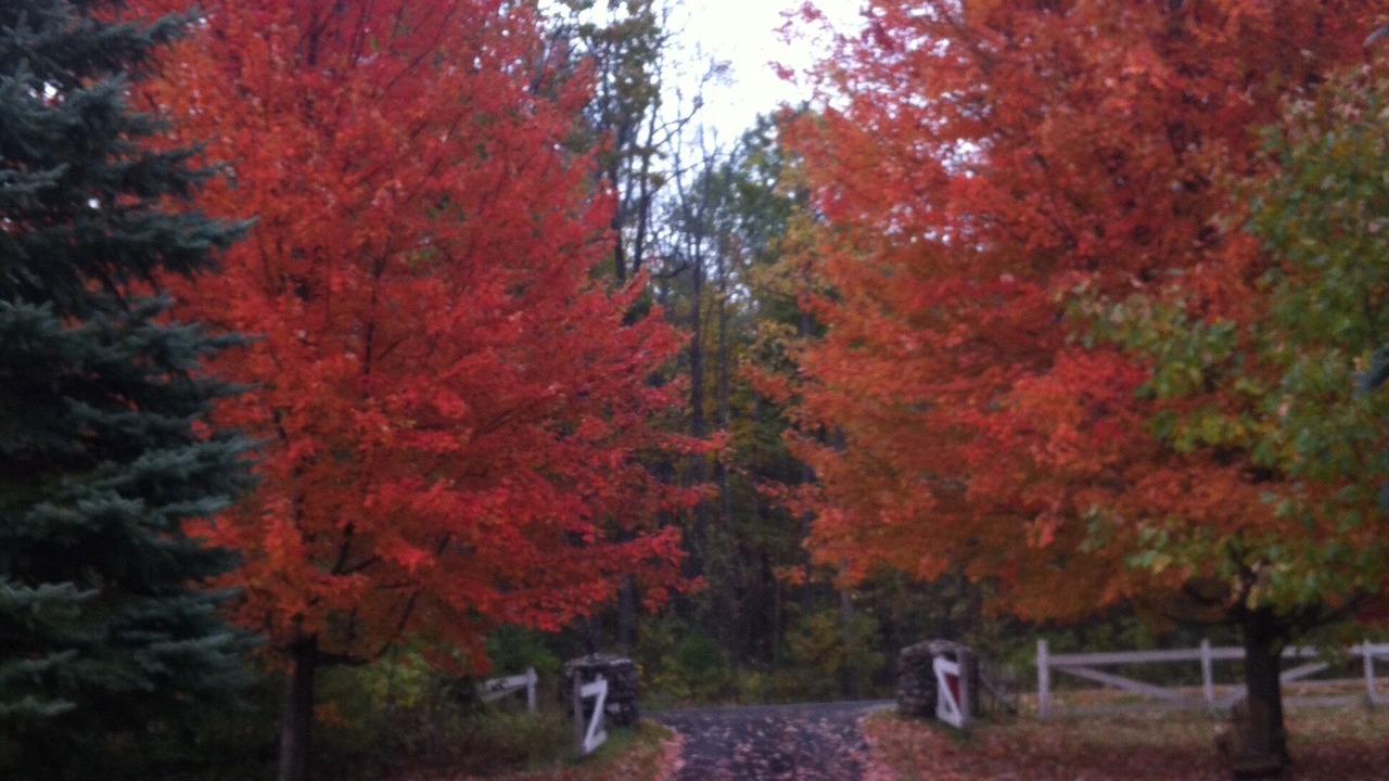Photo of Outdoor in Willsboro