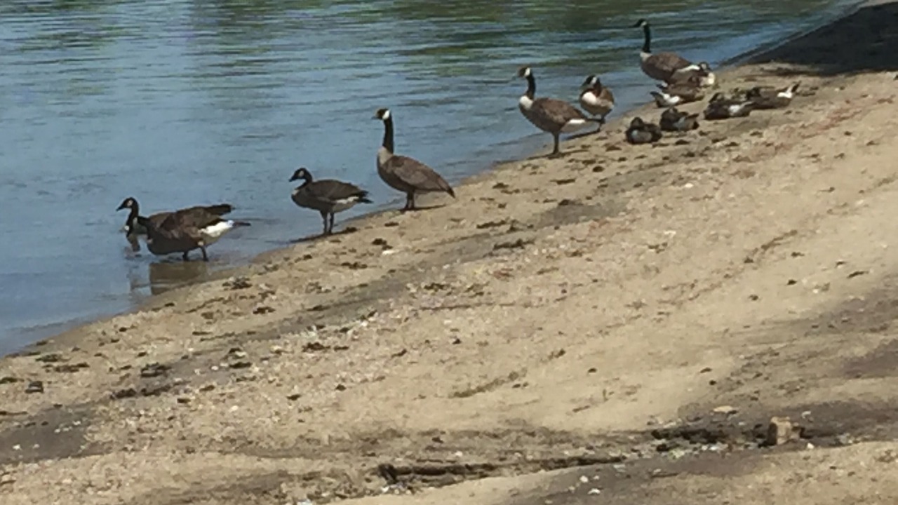 Photo of Others in Willsboro
