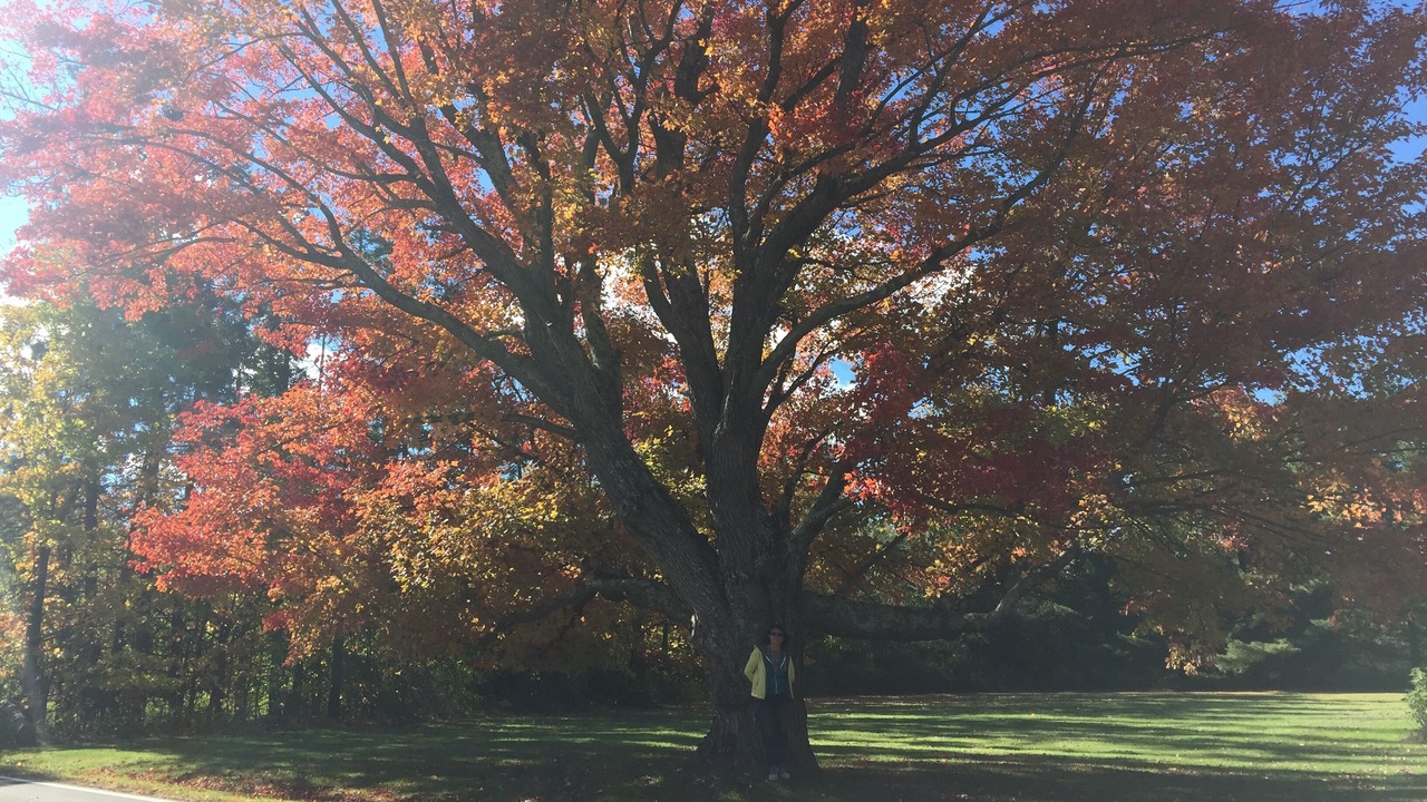 Photo of Outdoor in Willsboro