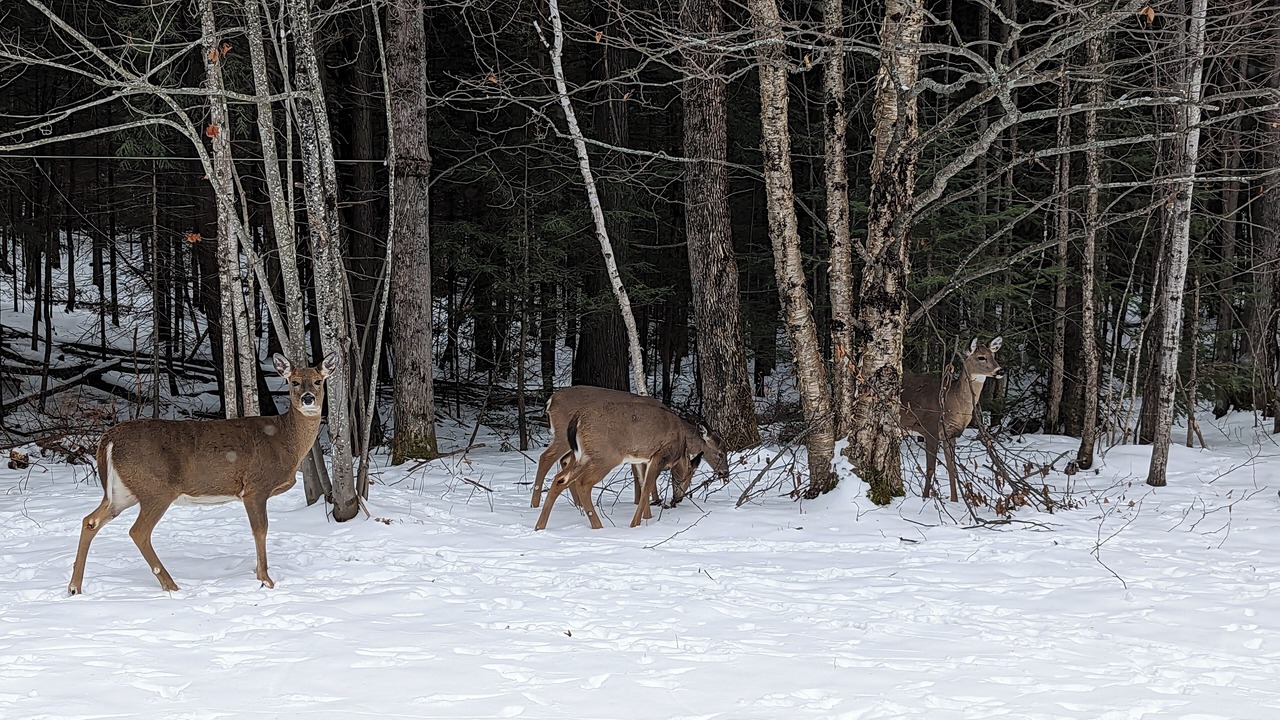 Photo of Others in Ontonagon