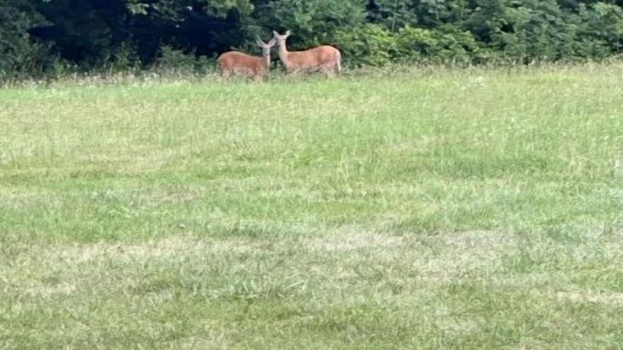 Photo of Others in Afton