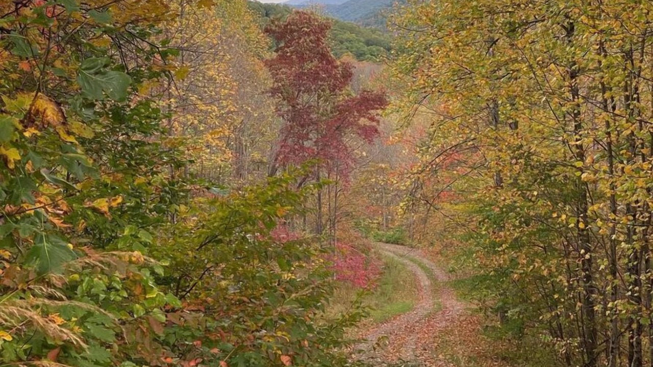Photo of Outdoor in Dailey