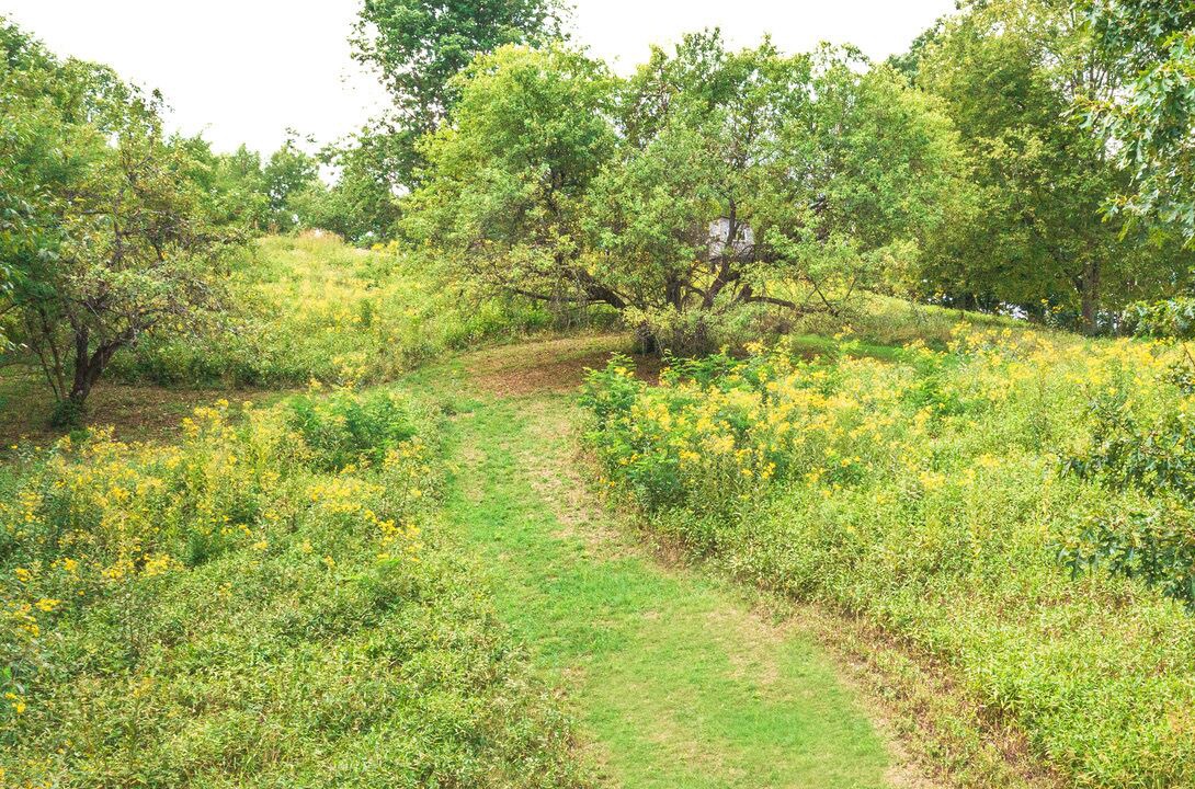 Photo of Outdoor in Dailey