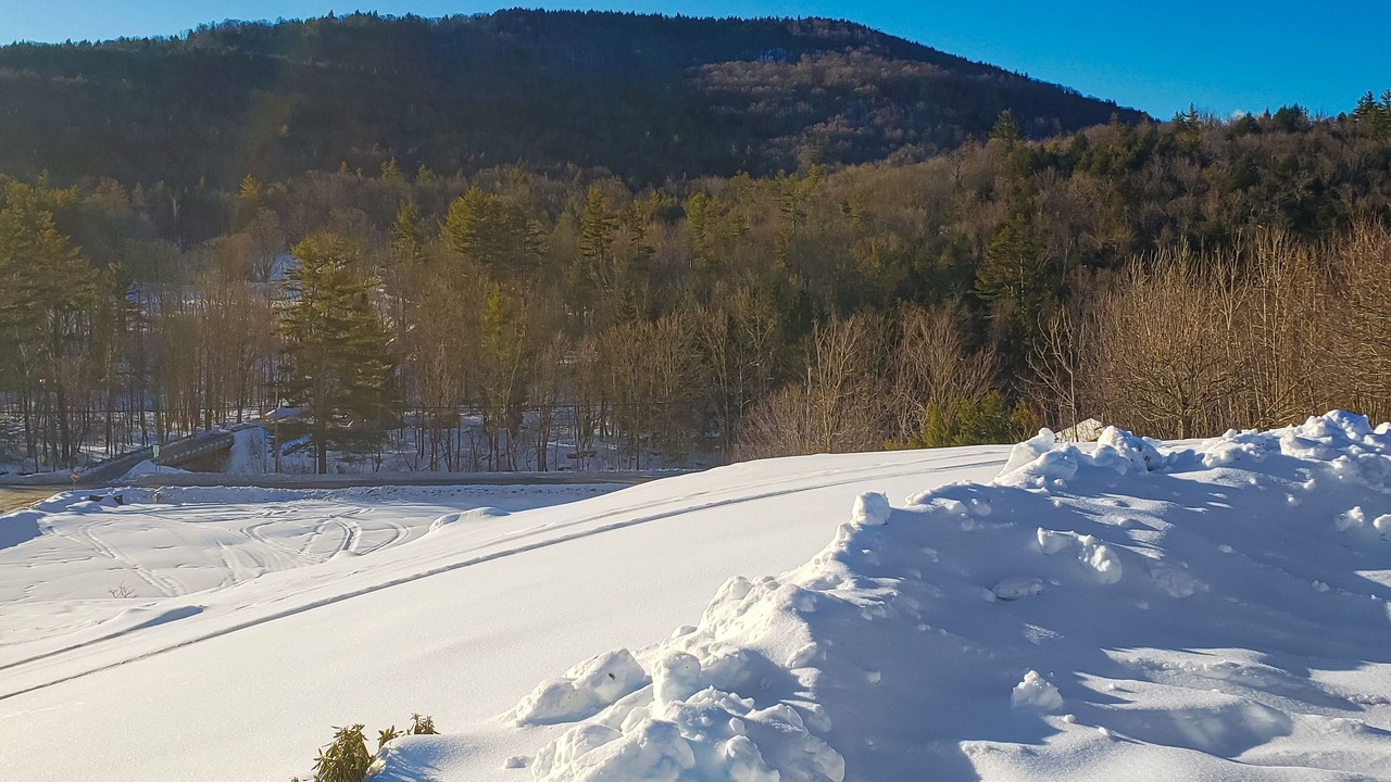 Photo of Others in Wardsboro