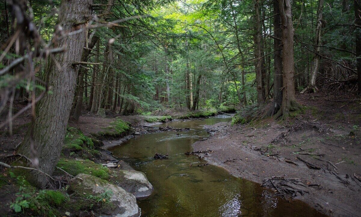 Photo of Outdoor in Wilmington