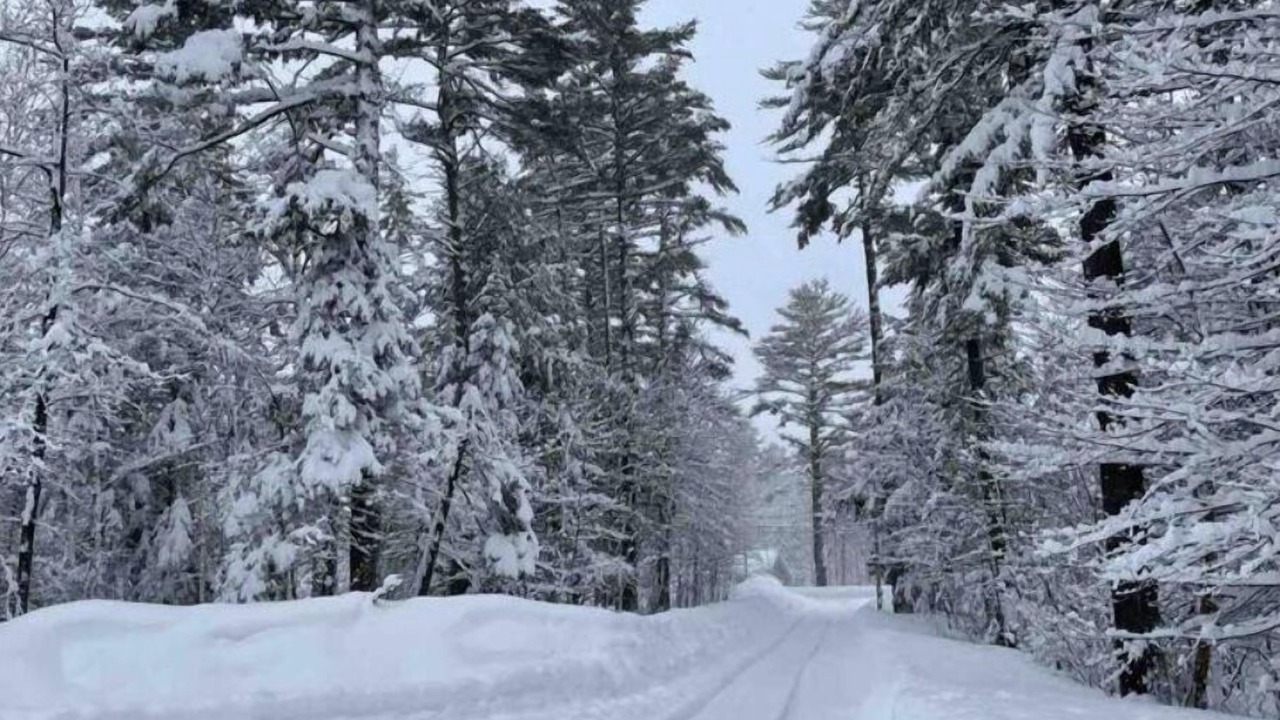 Photo of Others in Speculator