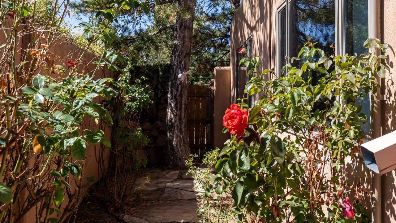 Photo of Others in Santa Fe