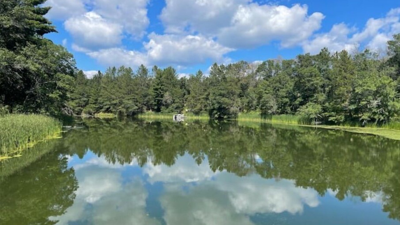 Photo of Outdoor in Markville