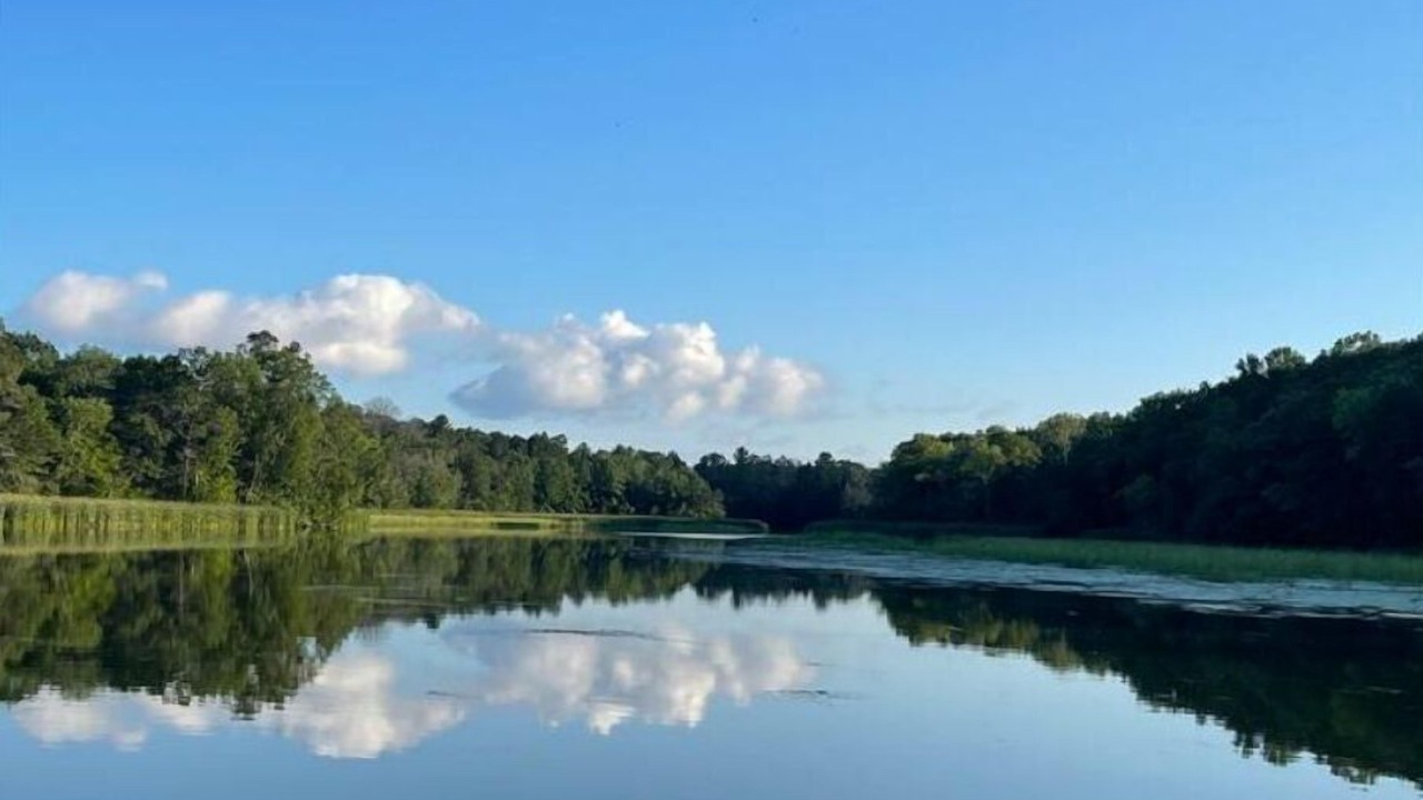 Photo of Outdoor in Markville