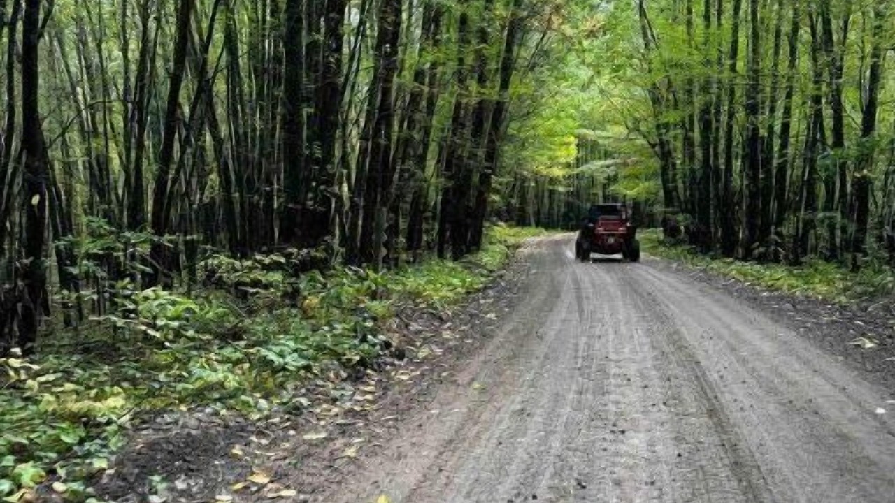 Photo of Outdoor in Markville