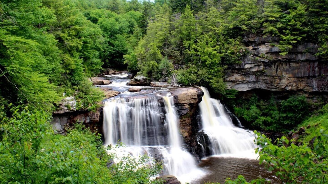 Photo of Others in Canaan Valley