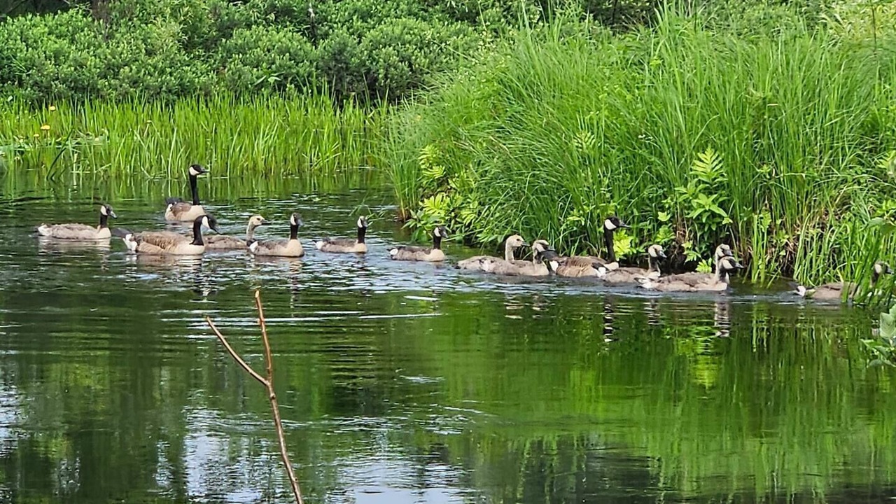 Photo of Others in Tupper Lake