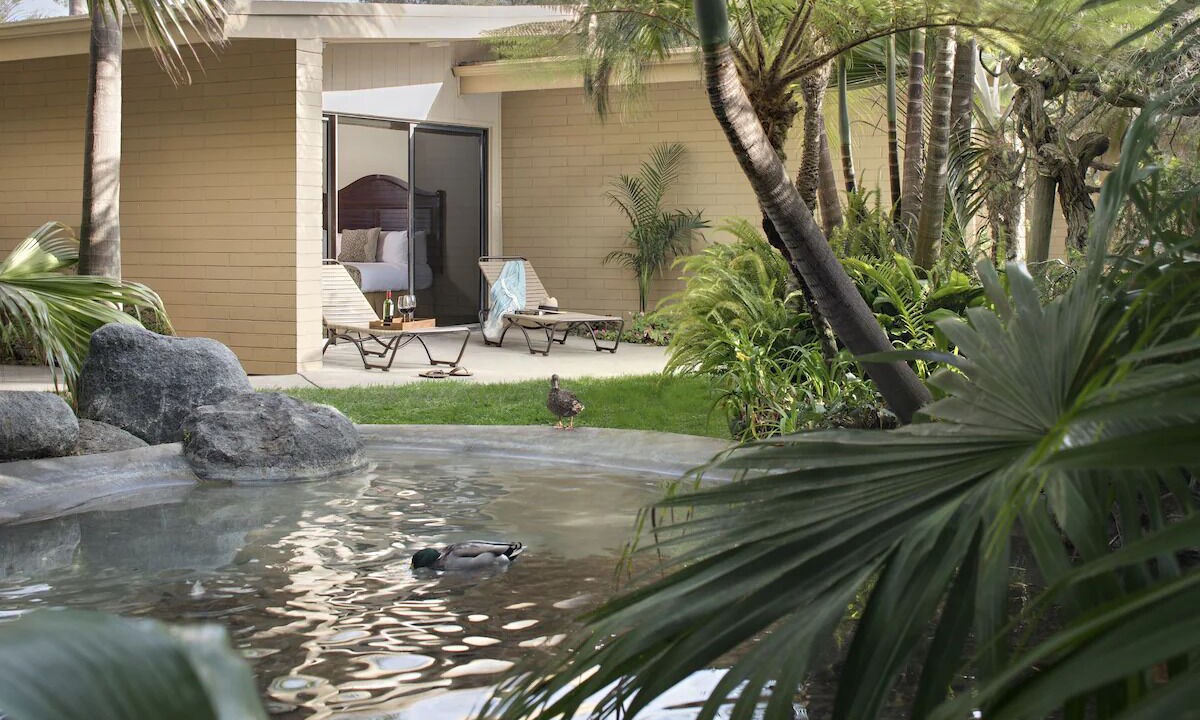 Photo of Outdoor in Central Mission Beach