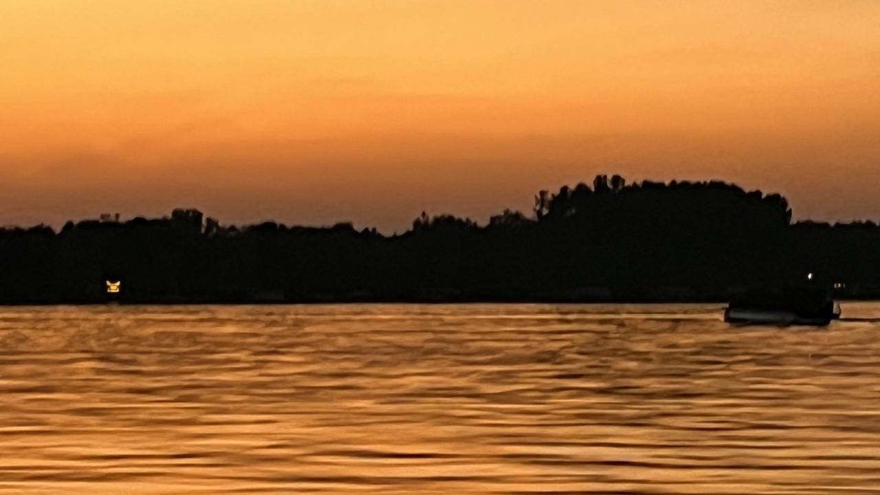 Photo of Others in Webster