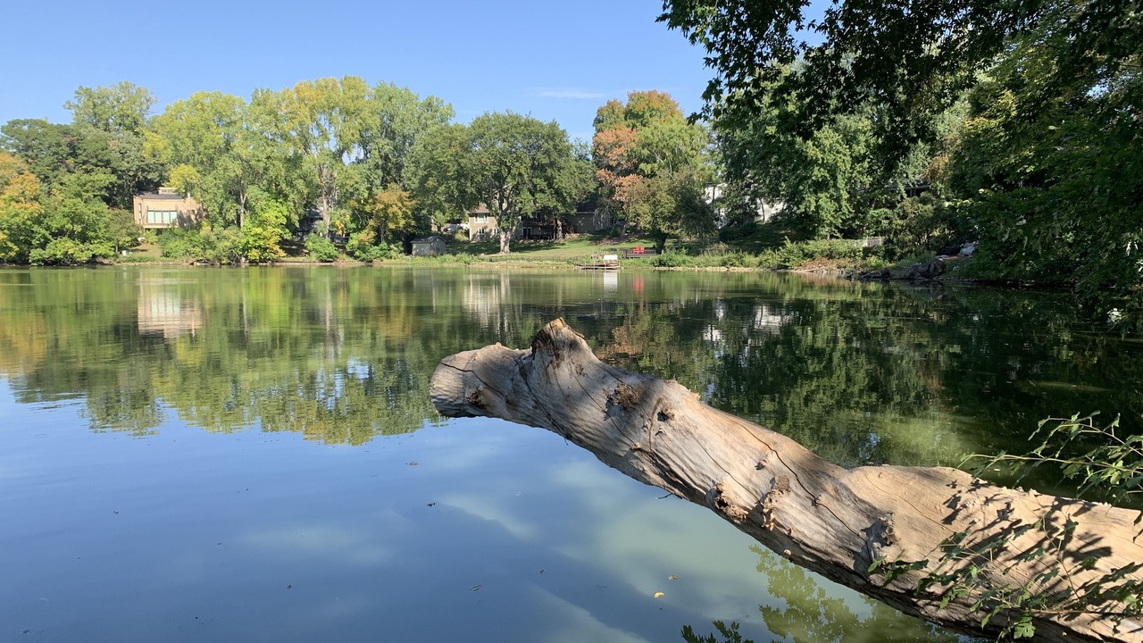 Photo of Outdoor in St. Louis Park