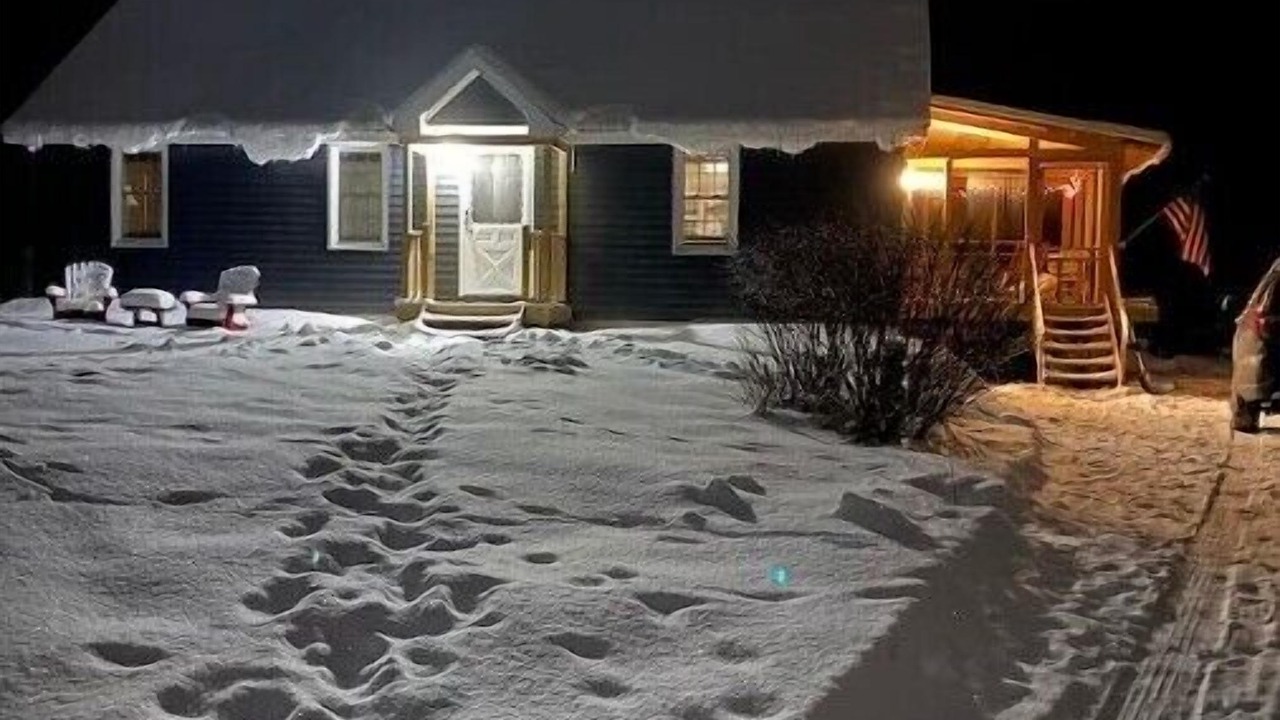 Photo of Outdoor in Newcomb