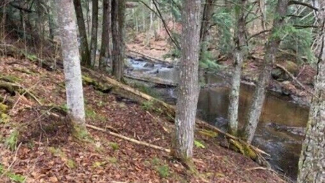 Photo of Others in Newcomb