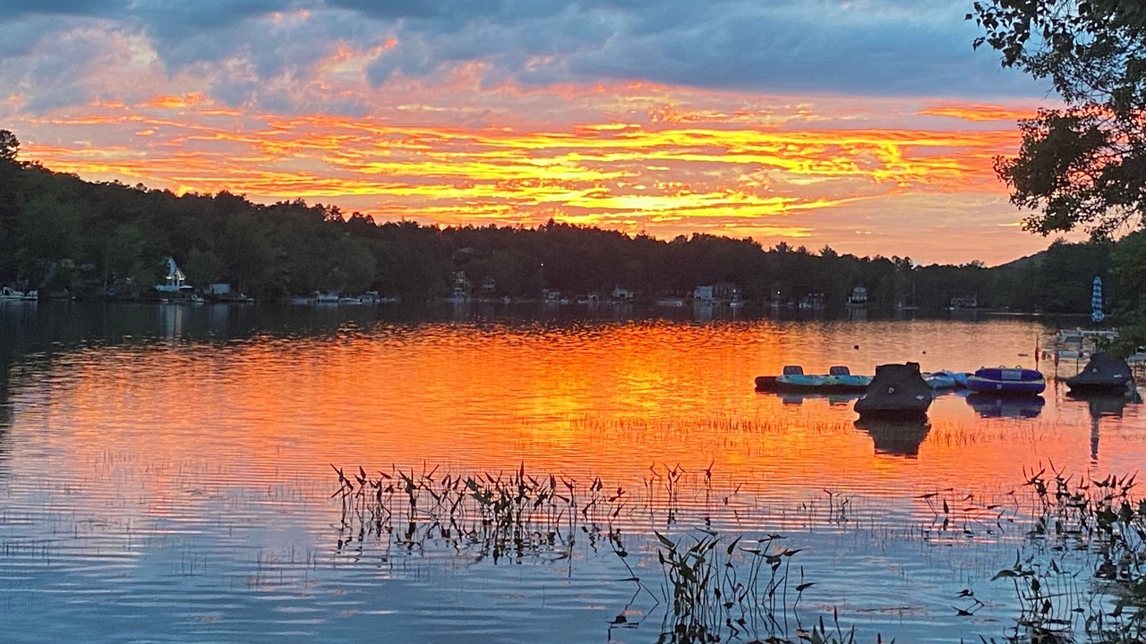 Photo of Others in Shapleigh