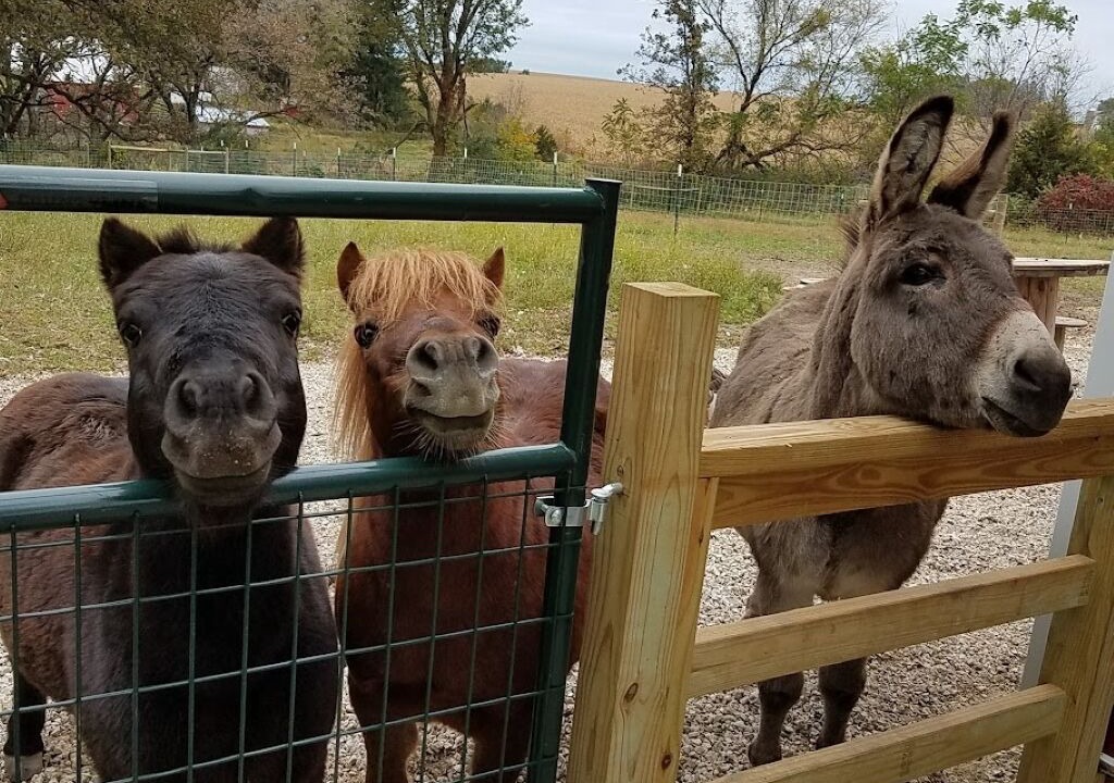 Photo of Others in Lanesboro