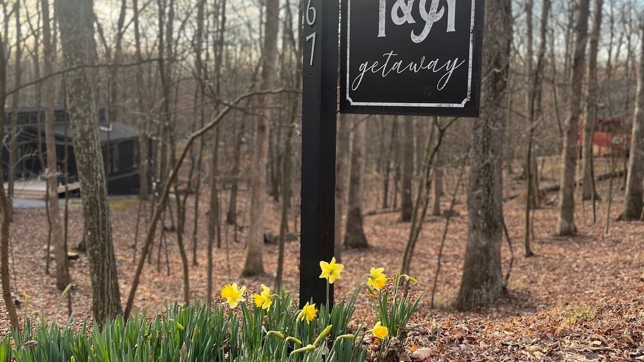 Photo of Outdoor in The Woods