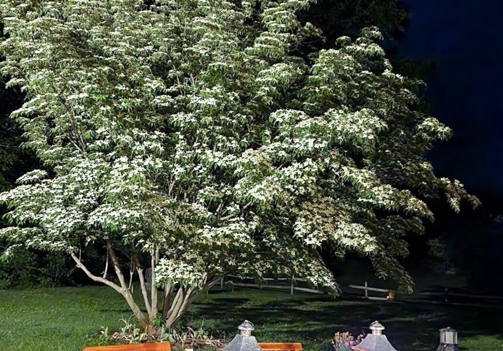 Photo of Outdoor in Stockbridge