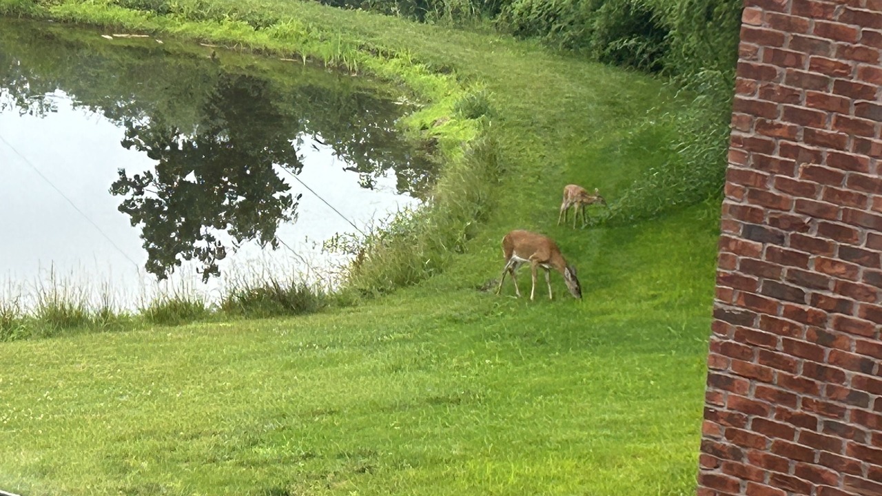 Photo of Outdoor in Buechel