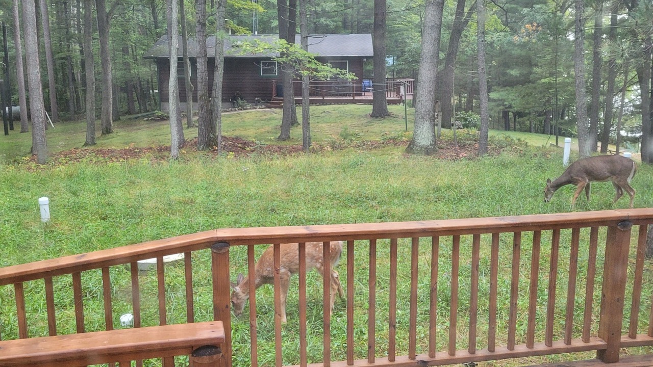 Photo of Outdoor in Stone Lake