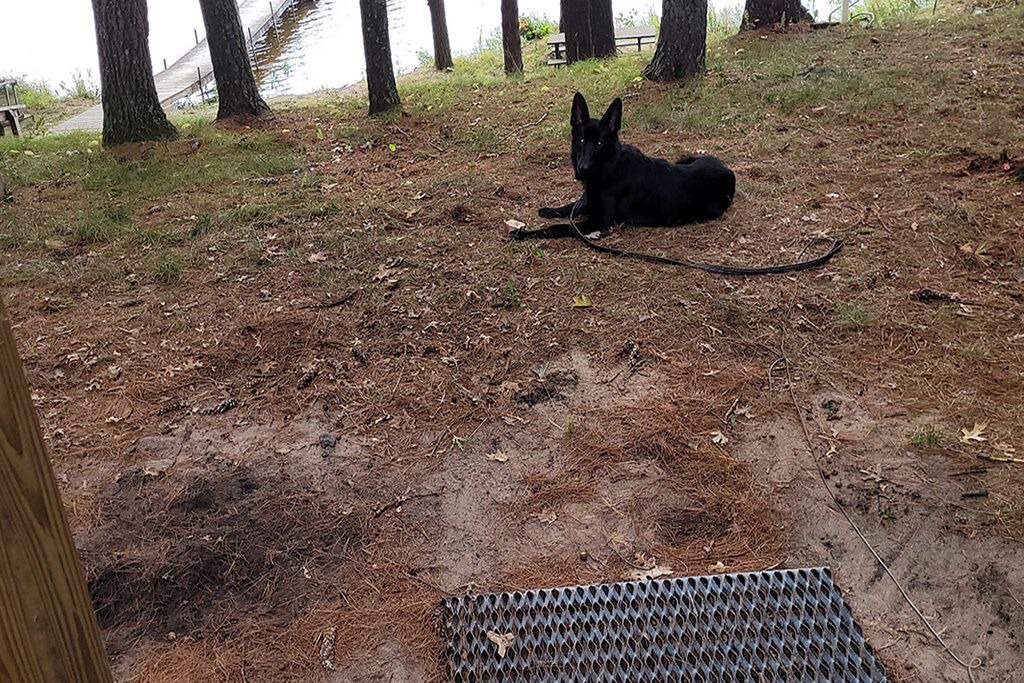 Photo of Outdoor in Stone Lake