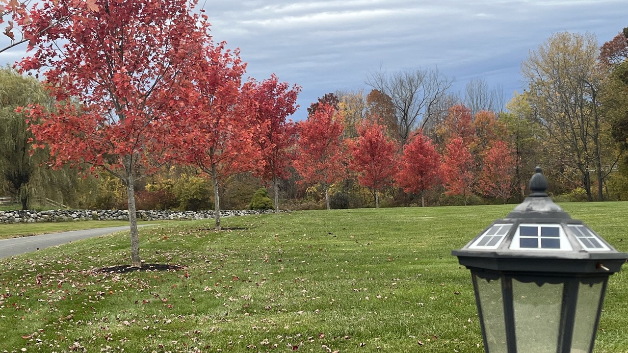 Photo of Outdoor in Bantam