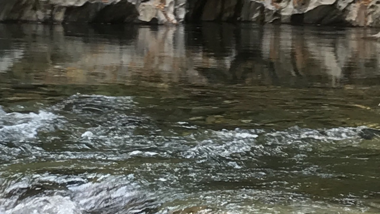 Photo of Others in Bolton Valley