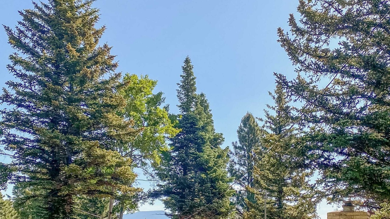 Photo of Outdoor in Eagle Nest