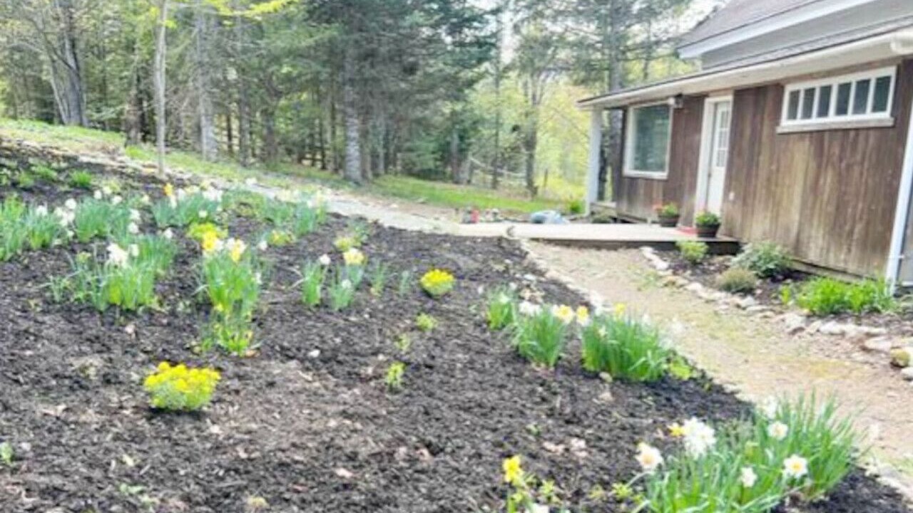 Photo of Outdoor in Wolcott