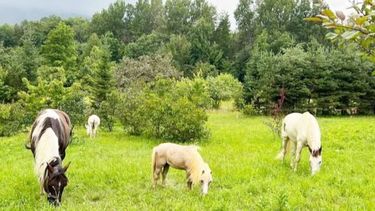 Photo of Others in Wolcott