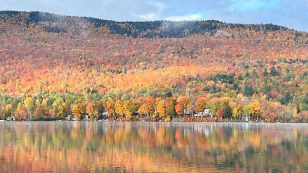 Photo of Others in Wolcott
