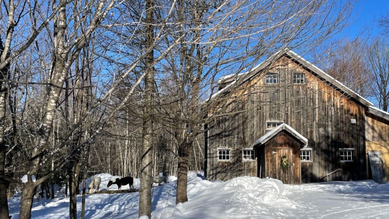 Photo of Outdoor in Wolcott