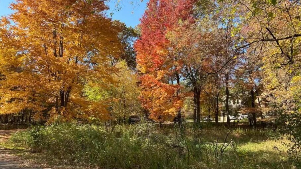 Photo of Outdoor in Blaine