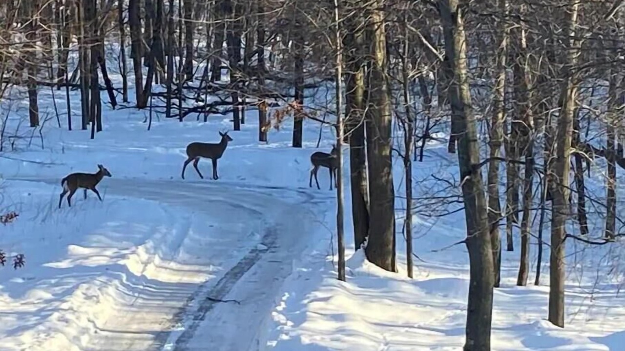 Photo of Others in Blaine